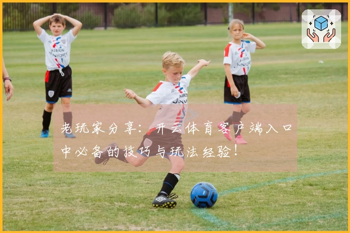 老玩家分享：开云体育客户端入口中必备的技巧与玩法经验！