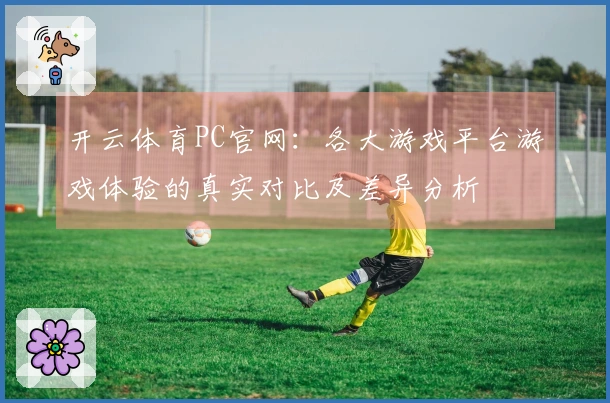 开云体育PC官网：各大游戏平台游戏体验的真实对比及差异分析